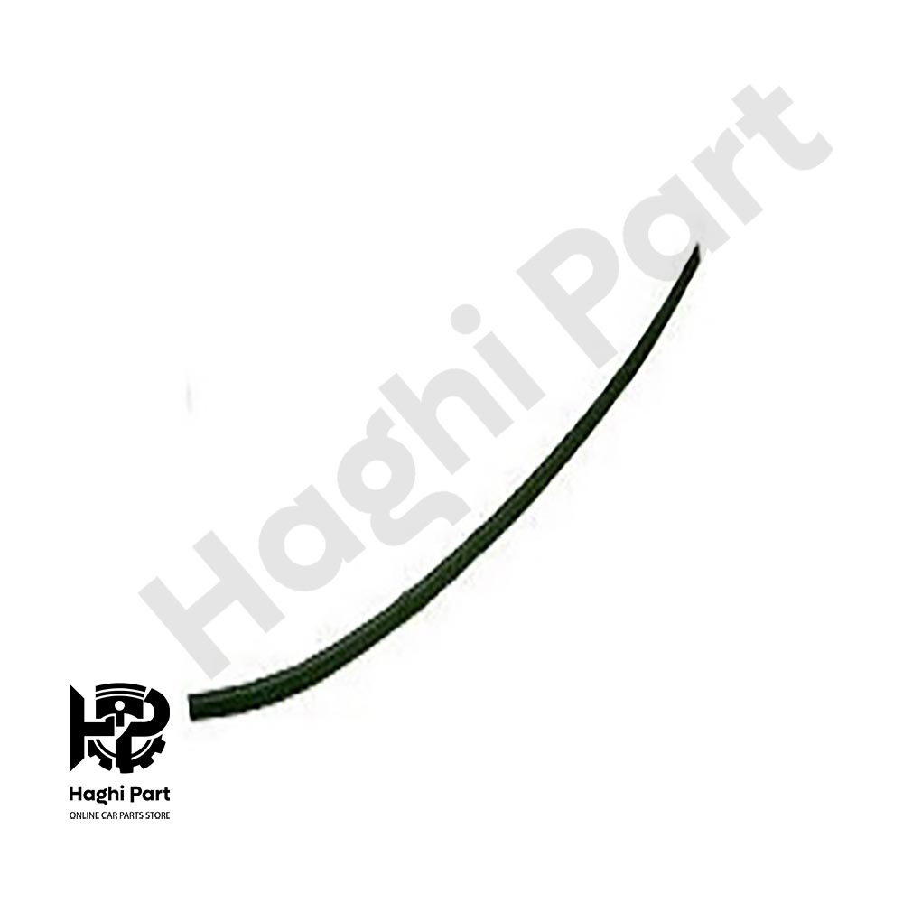 زه سقف چپ جیلی
