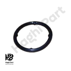 اورينگ واترپمپ ام وی ام 110