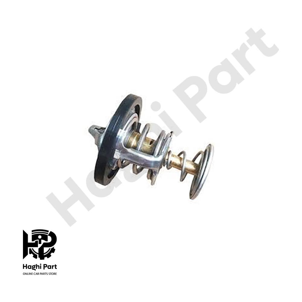 ترموستات ام وی ام 110S