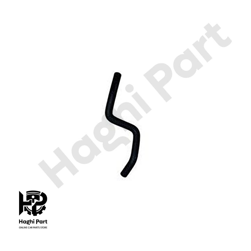 شيلنگ بخاري کوتاه برلیانس H320