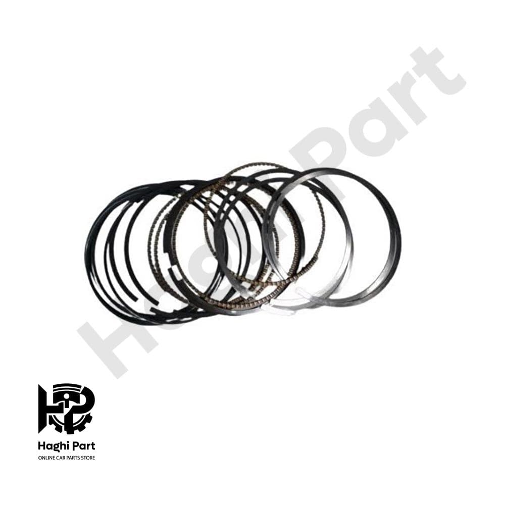رينگ موتور SER سایز 25 ام وی ام 315