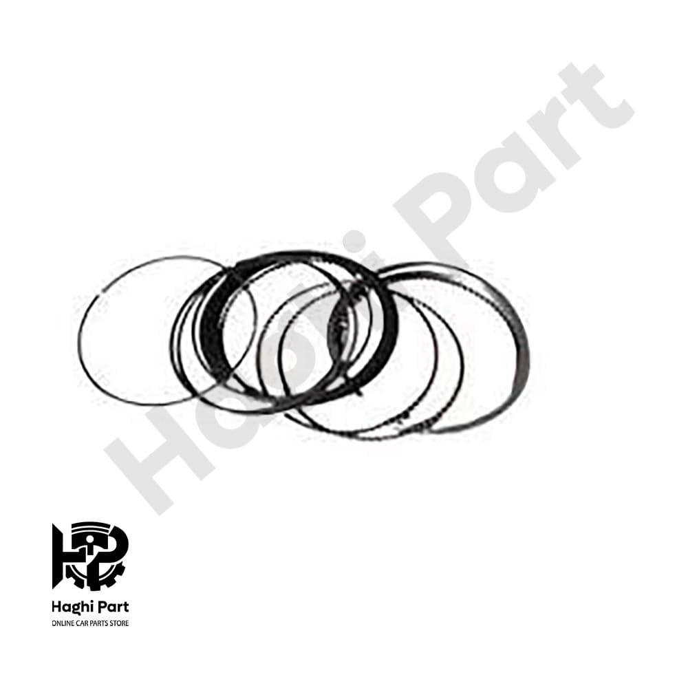 رينگ موتور سایز 25 ام وی ام 110S