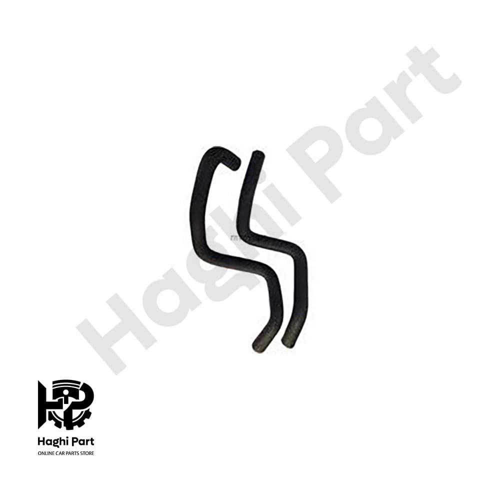 شيلنگ بخاري بلند برلیانس H330