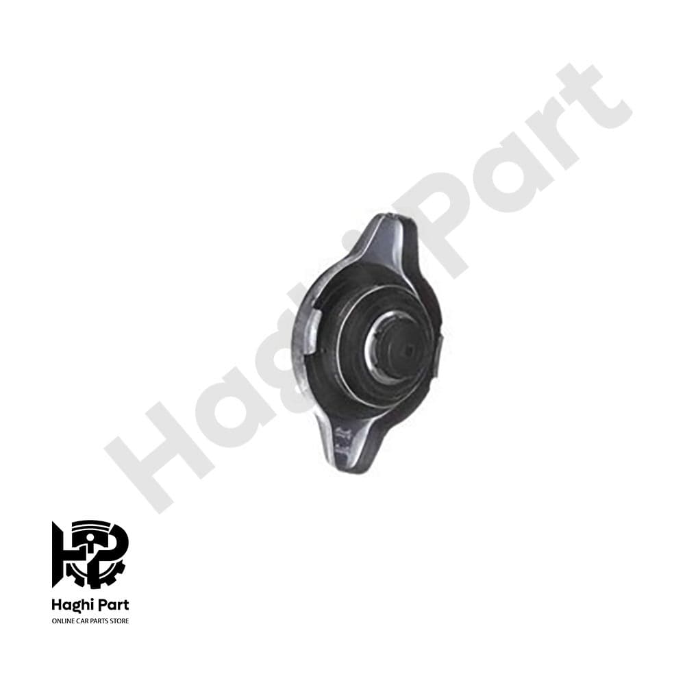 درب راديات راین V5